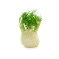 e-Liquid Fenchel 10 ml