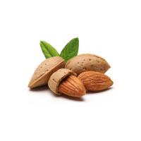 e-Liquid Mandel 10 ml