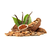 e-Liquid Vanille 10 ml